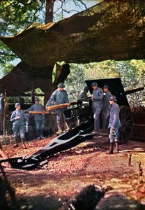 Una batteria francese di cannoni pesanti sotto una rete mimetica nella foresta, Verdun, settembre 1916 (autocromo) da Jules Gervais Courtellemont